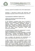 Kontyfa_01